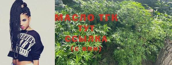 дмт Пестово