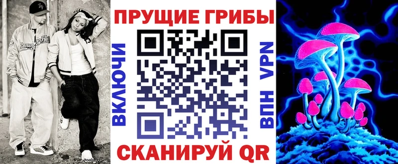 где найти наркотики  Бирюч  Галлюциногенные грибы Cubensis 